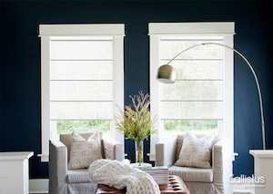 Blackout Roman Blinds: Ultimate Blackout Roman Blinds