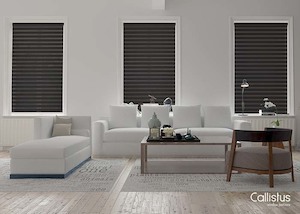 Luzon Day And Night Blind: Signature Luzon Blinds