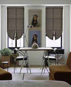 Patricia Day And Night Blinds: Patricia Blinds