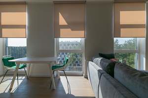 Translucent Roller Blinds: Standard Light Filter Roller Blind