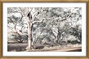 Big Gum Print in Oak Frame