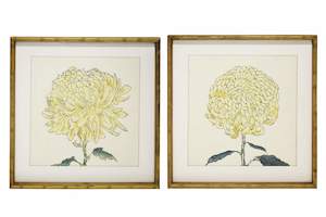Antiques: Chrysanthemum Framed Print