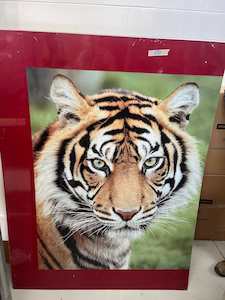Assorted Furniture: XL Tiger Print