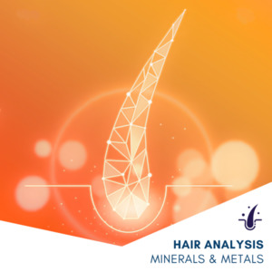 Hair Analysis: Minerals & Metals - ImuPro