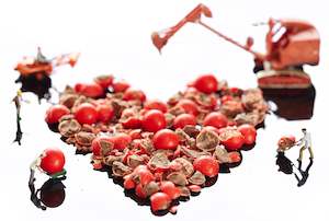 "Love Is Smashing" Print