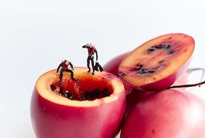 Art: "You're Overthinking It, Barry" Print