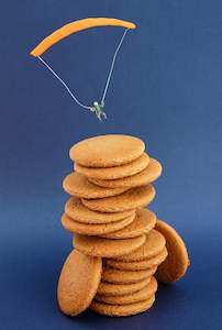 Art: "Gingernuts!" Print