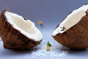 Art Prints: "Shredded" Print