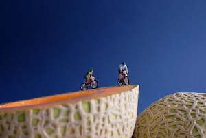 Art Prints: "Cantalouping" Print