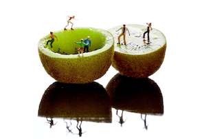 "Healthy Kiwis" Print