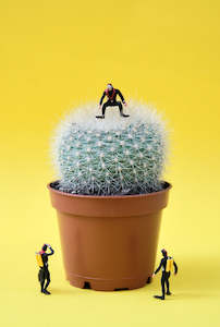 "Prickdicament" Print