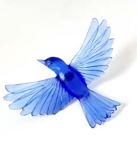 Glass Birds: Yellowhead / Mōhua - Cobalt Blue