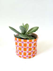 Homewares: Canvas Planter - Picnic