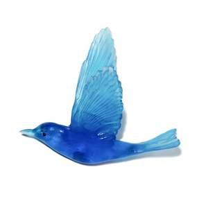 Shining Cuckoo / Pipiwharauroa - Aquamarine