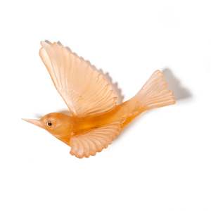 Silvereye / Tauhou - Apricot