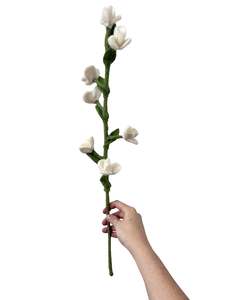 Store17: Flower Stem - NZ Felted Wool - White