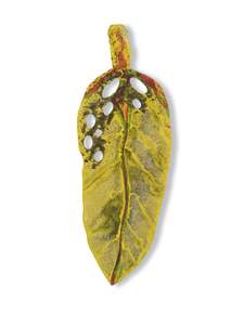 Small Pohutukawa Leaf (20474)