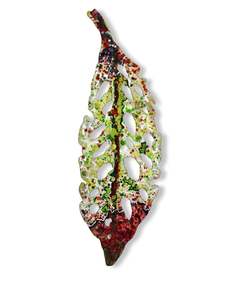 Small Pohutukawa Leaf (25036)