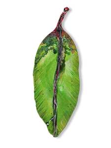 Small Pohutukawa Leaf (25202)