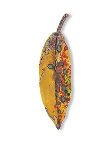 Small Pohutukawa Leaf (25204)