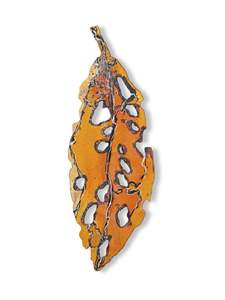 Small Pohutukawa Leaf (25209)