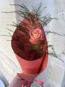 Single Rose for Valentines Day