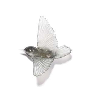 Tomtit / Kōmiromiro - Grey