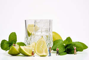 "The Mojito Collective" Print