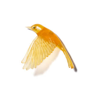 Art: Pōpokotea / Whitehead - Yellow