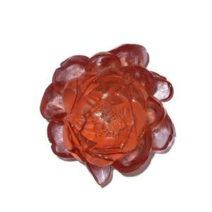 Peony - Rose - Glass wall artwork by Luke Jacomb