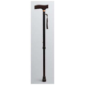 Products: Extendable Walking Stick with Strap