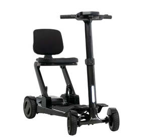 Products: Pride GoGo Carbon