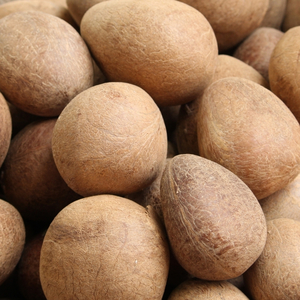 Coconut Whole 1 Pc - Indian Supermarket