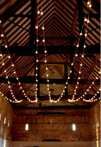 Products: Festoon light string
