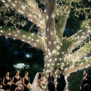 Fairy lights 50 meter string