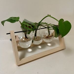 Products: Splants Propagation Station – Three Bulb – Rustic White
