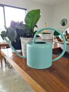 Hampton Indoor Watering Can – Copper