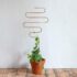 Products: Botanopia Squiggle Plant Stake – Gold