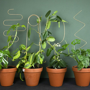 Products: Botanopia Arch Plant Stake – Gold