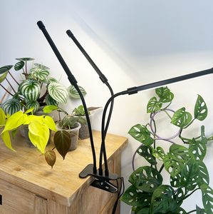 Products: Round LED Grow Light – Triple