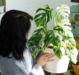 Bio Leaf Premium Variegated Leaf Potting Mix – 5 Litre