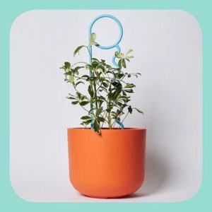 Products: Clear Arch Plant Stakes