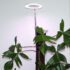 Products: Halo Grow Light – Large