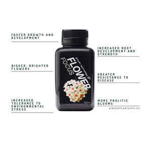 Plant Runner Neem Oil Leaf Shine Refill – 980ml