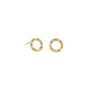 Jewellery: Rainbow Circle Earrings