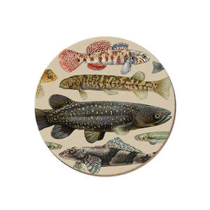Tanya Wolfkamp: Tanya Wolfkamp Coasters - NZ Freshwater Fish