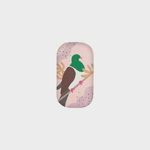 100 New Zealand: Trinket Box - Kereru