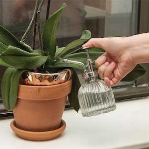 Homeware Accents: Glass Plant Mister