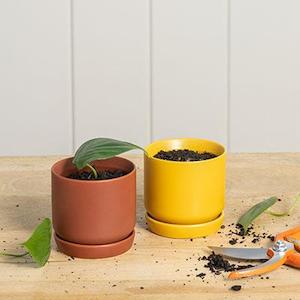 Homeware Accents: Oslo Planter - mini (all colours)
