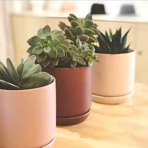 Homeware Accents: Oslo Planter - small (all colours)